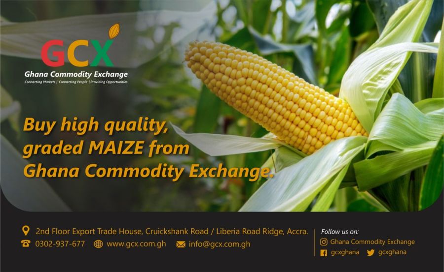 GCX Graded Maize image
