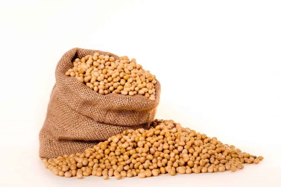 Soya Bean image